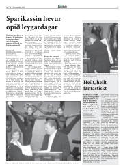 Síða 13