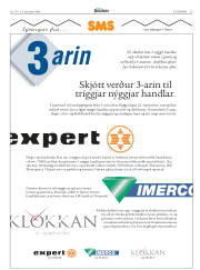 Síða 25