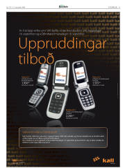 Síða 31