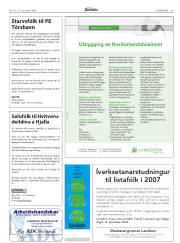 Síða 41