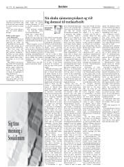 Síða 13