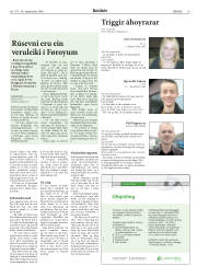 Síða 19
