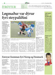 Síða 22