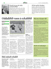 Síða 26