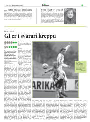 Síða 29