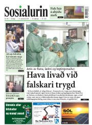 Síða 1
