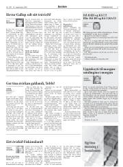 Síða 11
