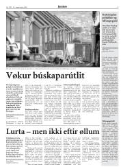 Síða 13
