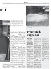 Síða 29