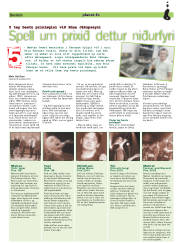 Síða 19