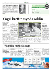 Síða 27