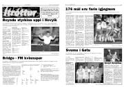 Síða 12