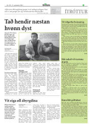 Síða 17