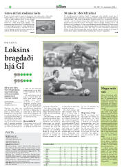 Síða 28