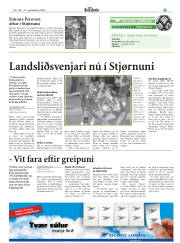 Síða 29