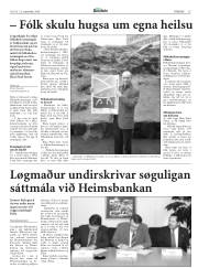 Síða 15