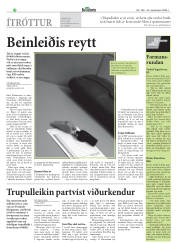 Síða 18