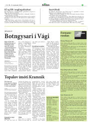 Síða 19