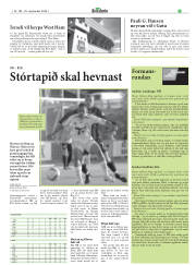 Síða 21