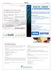 Síða 31