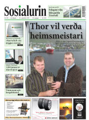 Síða 1