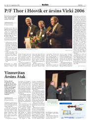 Síða 17