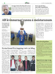 Síða 24