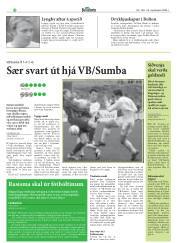 Síða 28