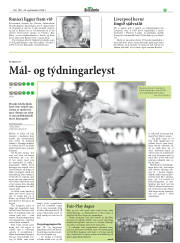 Síða 29