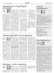 Síða 11