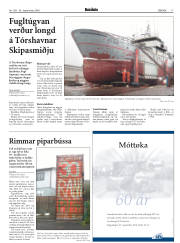Síða 17