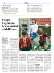 Síða 20
