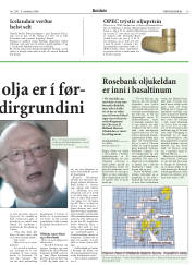 Síða 19