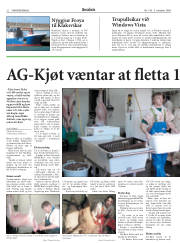 Síða 22