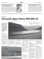 Síða 28