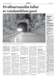 Síða 5