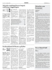 Síða 11