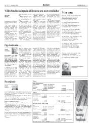Síða 13