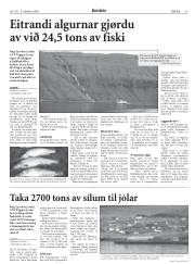 Síða 15