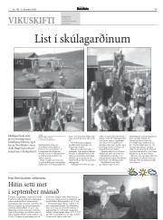 Síða 17