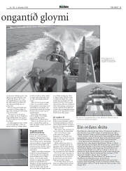 Síða 21