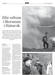 Síða 22