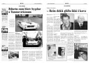 Síða 12