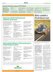 Síða 30