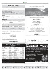 Síða 41