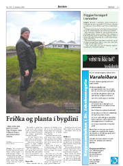 Síða 19
