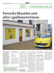 Síða 17