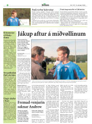 Síða 29