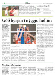 Síða 31