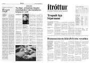 Síða 7